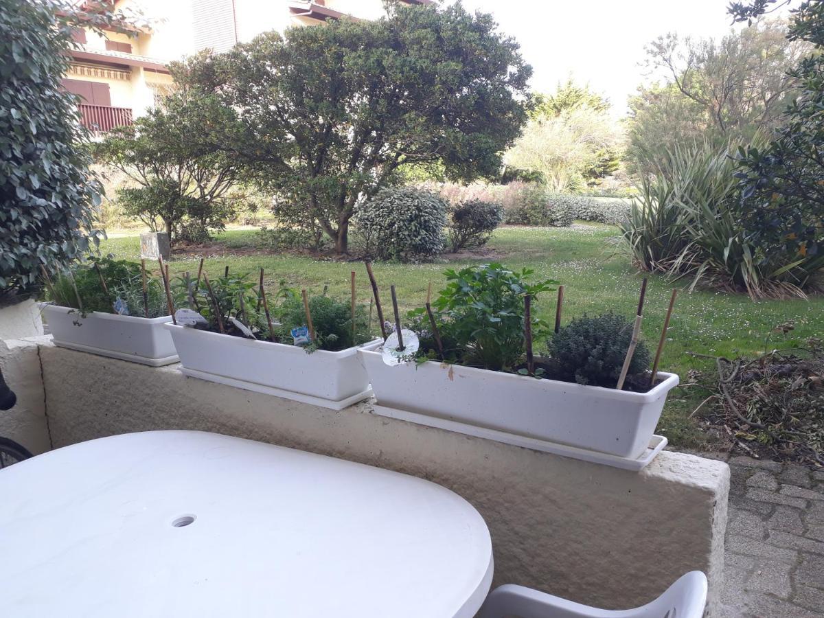 Appartement Seignosse Ocean Zewnętrze zdjęcie